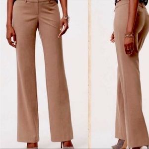 NWT Loft Julie-Fit Classic Trouser Size 8